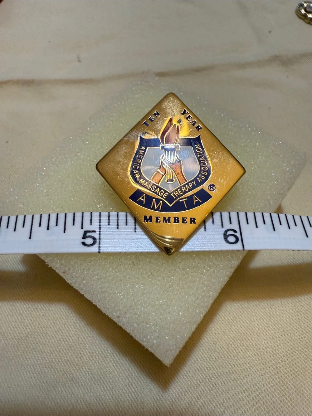 AMTA Ten Year Member Gold-Tone Lapel Pin -